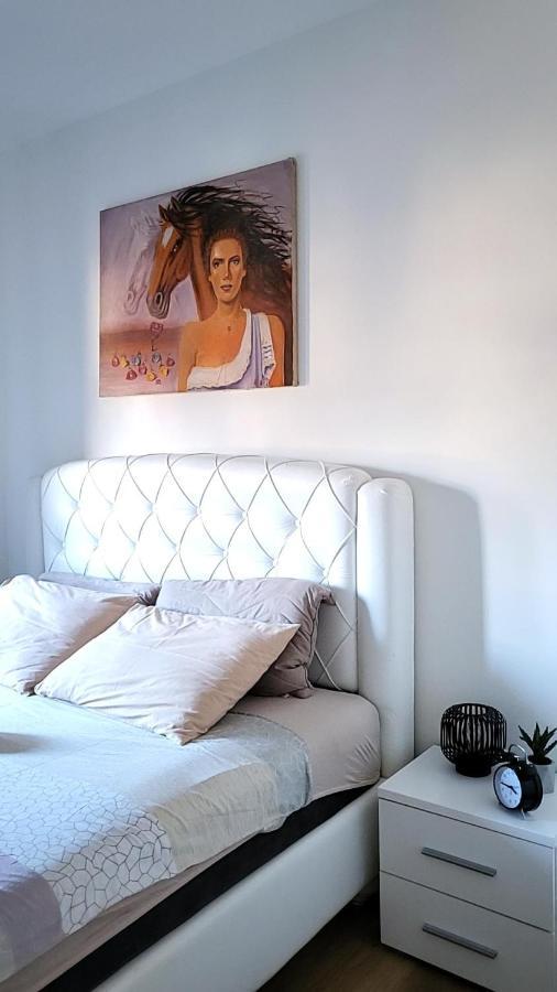 Apartman Crown Vrnjačka Banja المظهر الخارجي الصورة