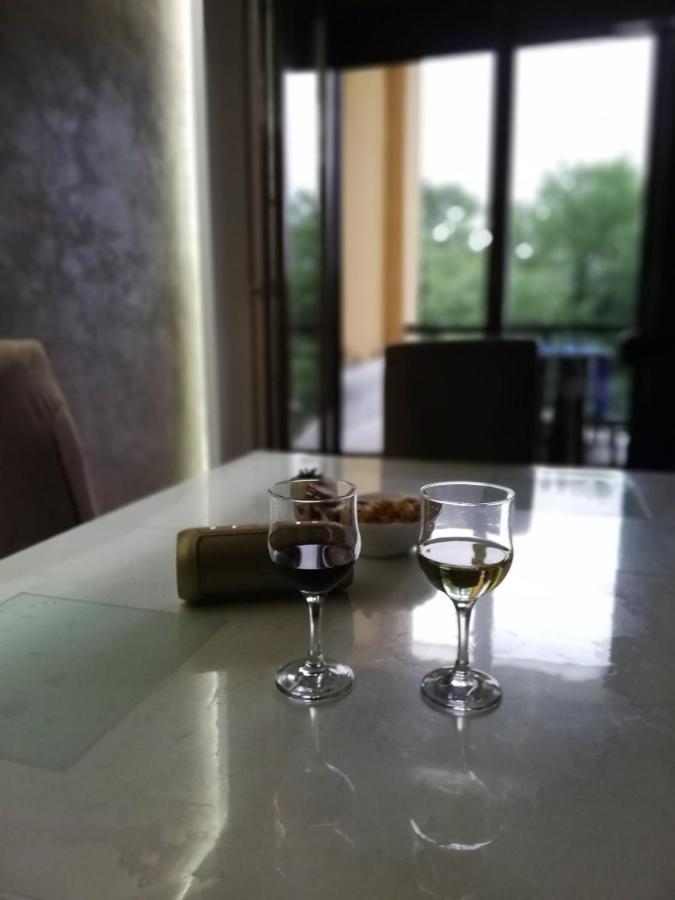 Apartman Crown Vrnjačka Banja المظهر الخارجي الصورة